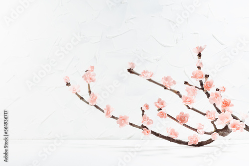 Tender pink sakura twig with lush flowers in hard light with shadow in white elegant modern interior on wood table, copy space. Gentle traditional Japan flowers for holiday, advertisement, design.