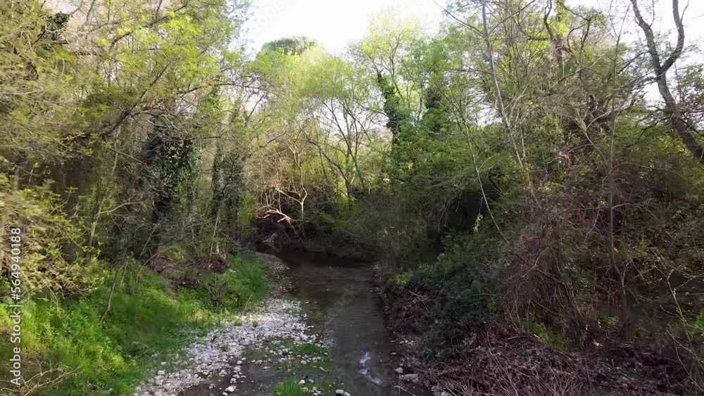 Dolly out, pull out with drone of a river at low height. Forest and plants on the sides. Water flowing. Branches on sides. Alt Empordá. Fluviá. Dolly out, pull out with drone of a river at low height. Forest and plants on the sides. Water flowing. Branches on sides. Alt Empordá. Fluviá.