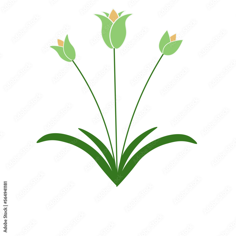 Obraz premium Tulip Element