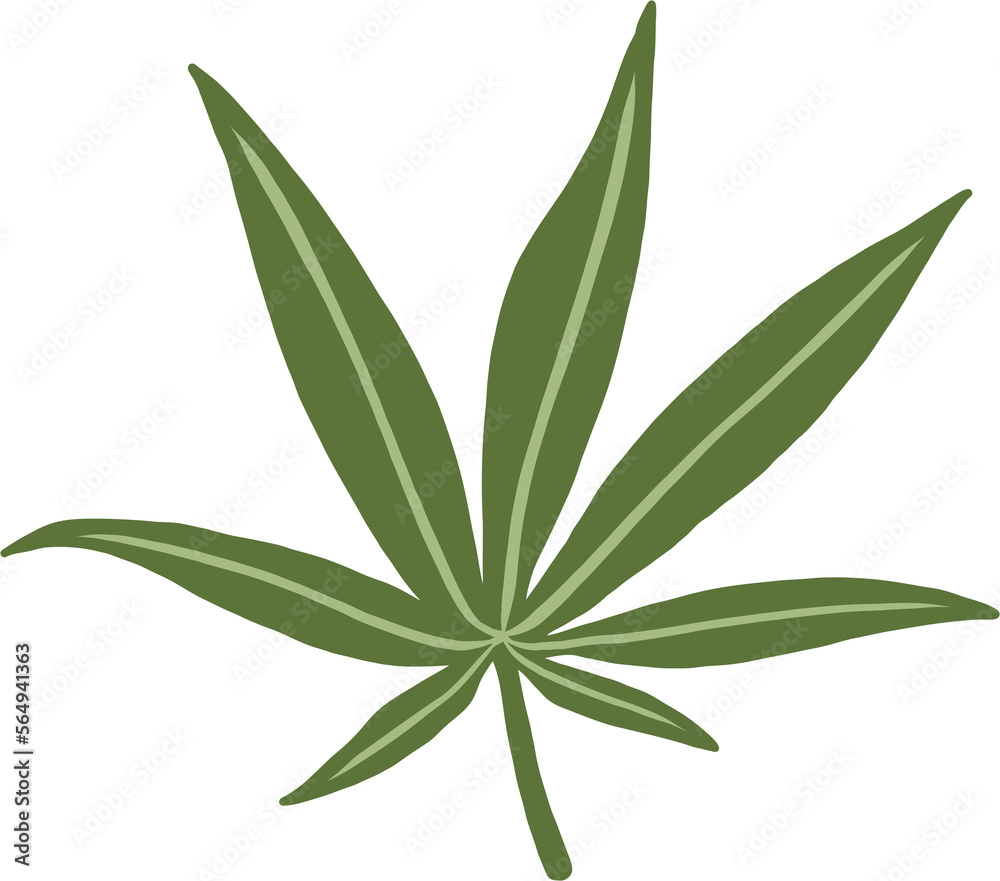 Fototapeta premium simplicity cannabis leaf freehand drawing.