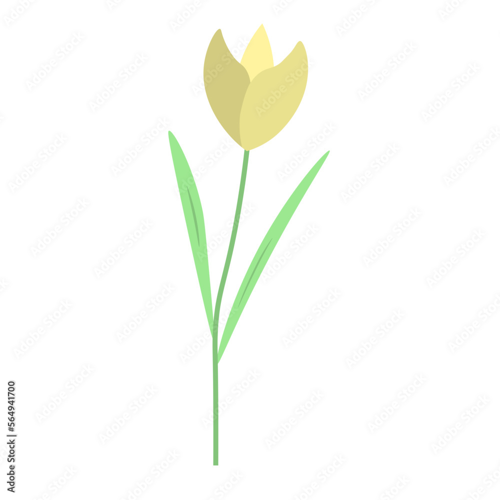 Obraz premium Tulip Element