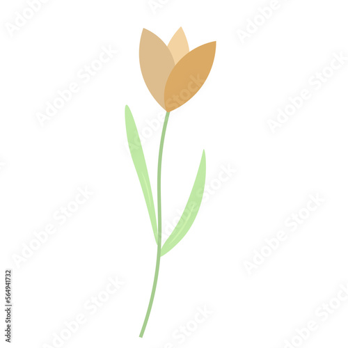 Tulip Element