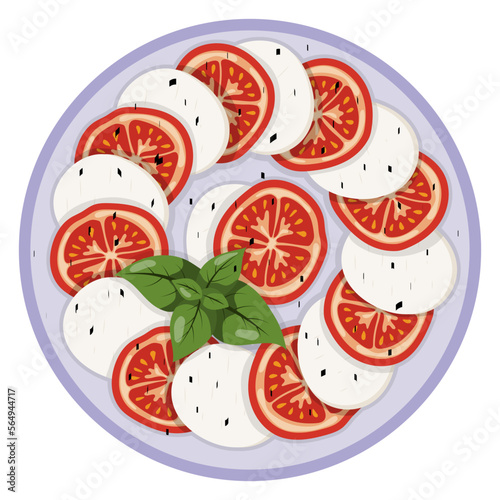 Caprese salad. vector illustration on a white background