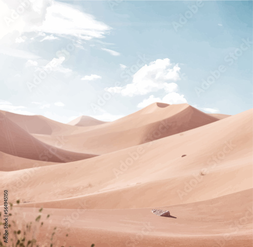 sand dunes in the desert