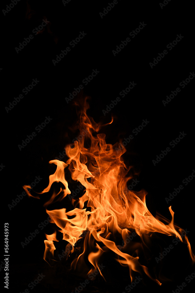 Fototapeta premium The fire, burning flame. Large burning flaming fire.
