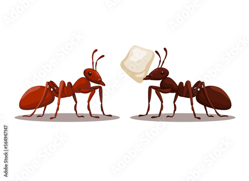 Black and Red Ant animal character cartoon illustration vector