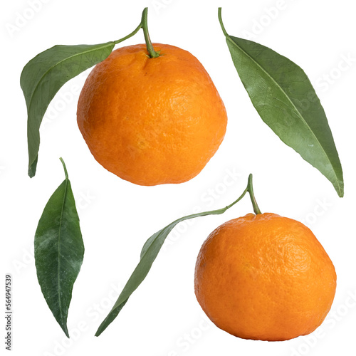 Collection of tangerines isolated on transparent background.