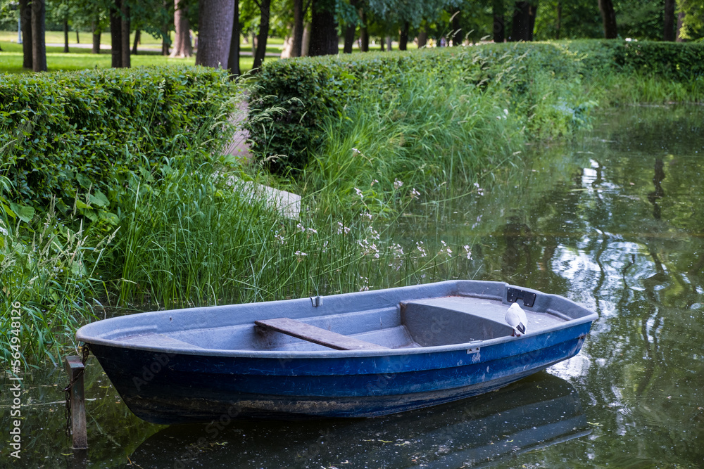 a blue boat stands on a pond in a park, a seagull sits on a boat, an old boat