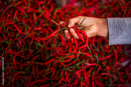 A hand holds up fresh red peppers at a street stand at a market in Kerinci Valley, Sumatra, Indonesia. photo
