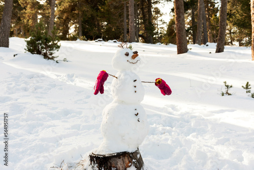 Snowman in the forest