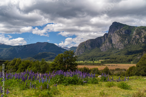 View From The Carretera Austral   photo