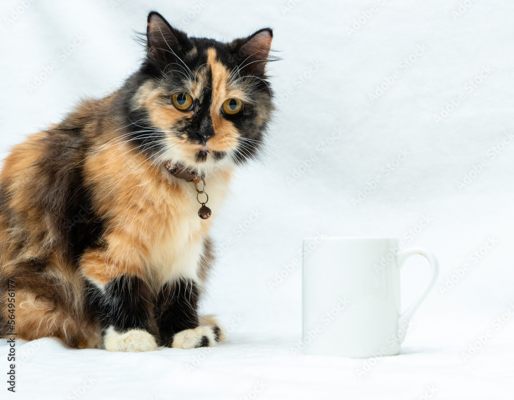A coffee mug image with a cat doing a pose beside it on a white background