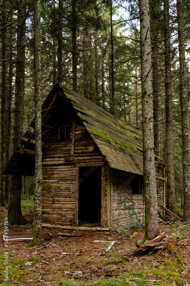 Abandoned wooden cabin in the forest Abandoned wooden cabin in the forest