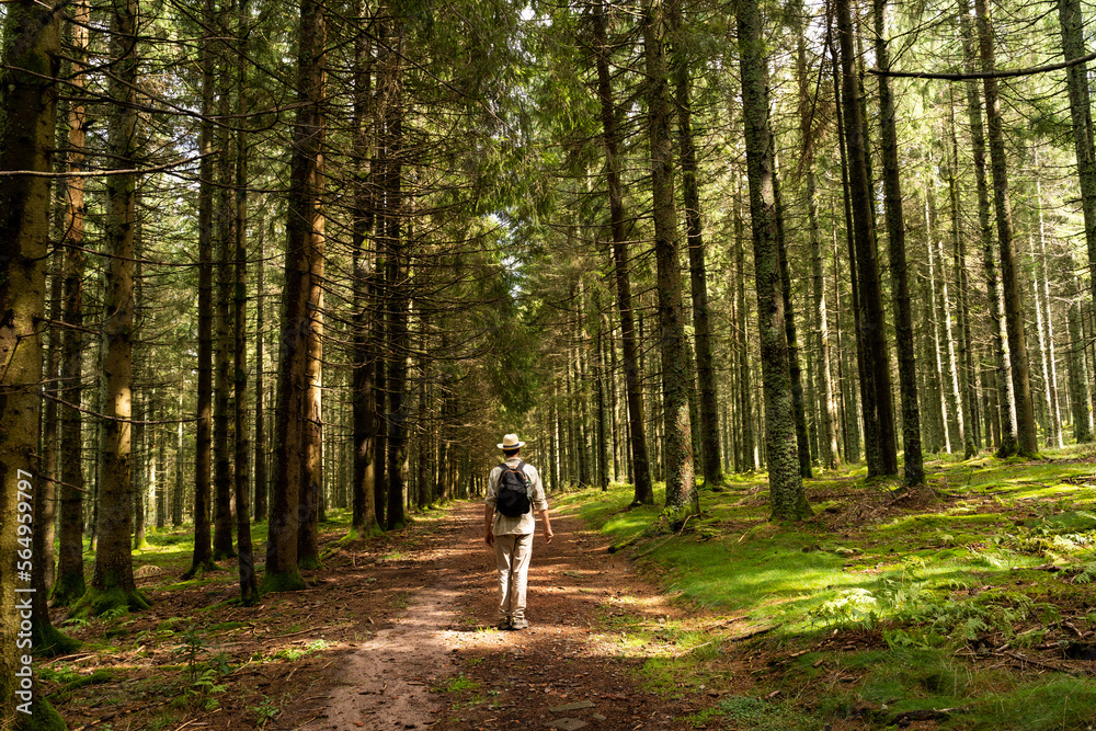 Backpacker in forest Backpacker in forest
