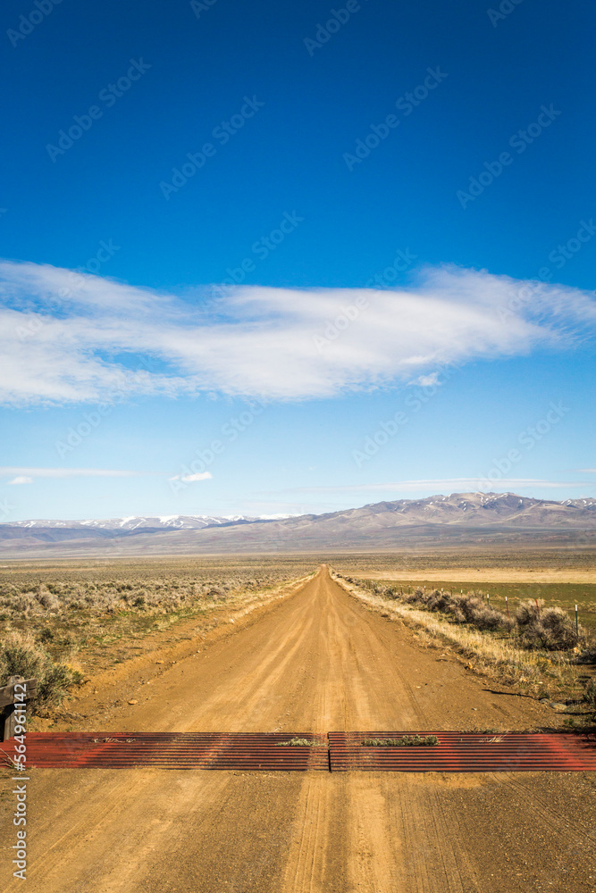 HARNEY COUNTY, BURNS RANGER DISTRICT, OR, USA. A dirt road leads into a vast desert landscape of flat sage and distant mountains. HARNEY COUNTY, BURNS RANGER DISTRICT, OR, USA. A dirt road leads into a vast desert landscape of flat sage and distant mountains.