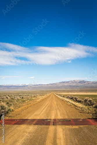 HARNEY COUNTY, BURNS RANGER DISTRICT, OR, USA. A dirt road leads into a vast desert landscape of flat sage and distant mountains. photo