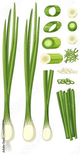 Spring onion in different forms