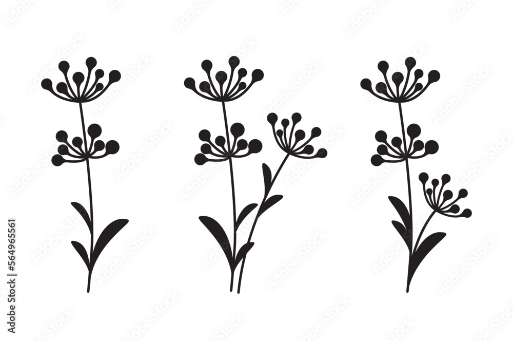 Set of herbal plant elements with seeds