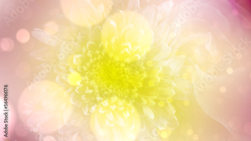 Closeup view of a flower © Leo Lintang