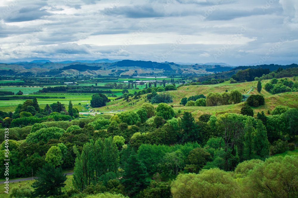 Breathtaking New Zealand Landscape with farmland and green rolling hills under cloudy sky. High vantage point. Greys Hill Lookout, Gisborne, North Island, New Zealand