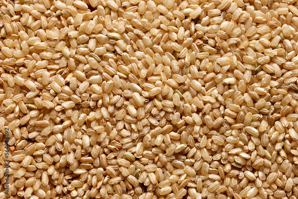 whole rice grain surface