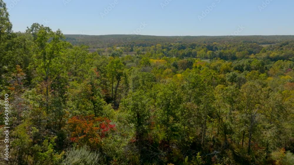 Push over tree tops in a forest and a field with cows grazing in the country of southern Missouri on a beautiful Fall day. Push over tree tops in a forest and a field with cows grazing in the country of southern Missouri on a beautiful Fall day.