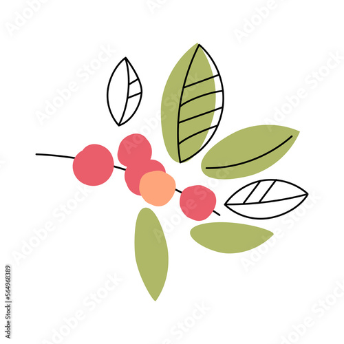 Branch with leaves and berries. Black line outline , with colored blots. Flat style and outline. Twig with coffee cherries and leaves. Vector illustration isolated on white background.