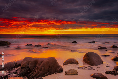 Dramatic midnight sunset with amazing colors over Uttakleiv beach on Lofoten Islands, Norway