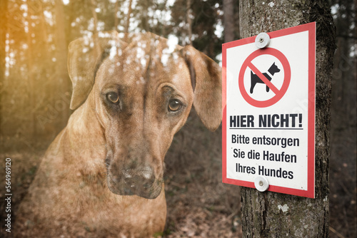 Hundeverbot, Hundehaufen, Verbotsschild. Anweisung. Hundehaltung