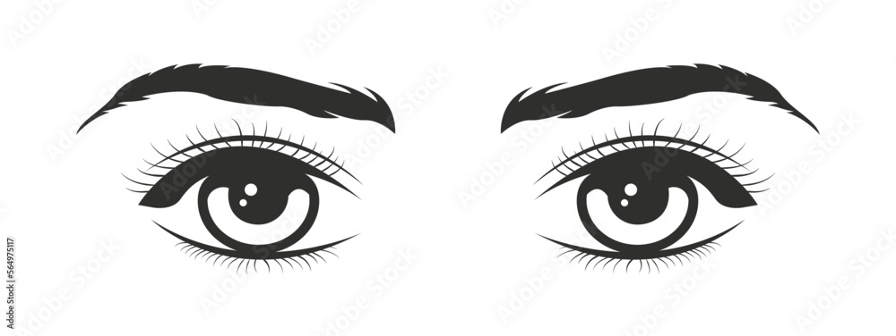Female Beautiful Eyes Black Drawing Isolated Vector Illustration Female Beautiful Eyes Black Drawing Isolated Vector Illustration