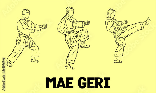 illustration of karate fighter line art