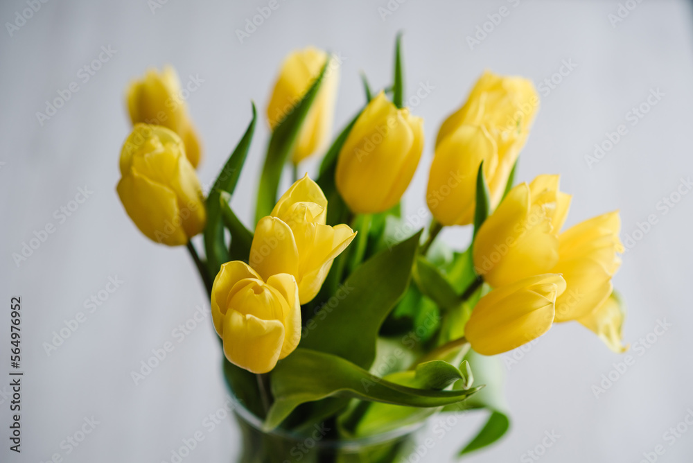 A bouquet of yellow tulip flowers in a vase on white background. Surprise. Space for text. Holiday greeting card for Valentine's, Women's, Mother's Day. Happy Birthday. Top view A bouquet of yellow tulip flowers in a vase on white background. Surprise. Space for text. Holiday greeting card for Valentine's, Women's, Mother's Day. Happy Birthday. Top view