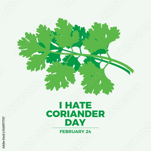 I Hate Coriander Day vector. Fresh green coriander or cilantro herb icon vector. February 24 each year. Important day
