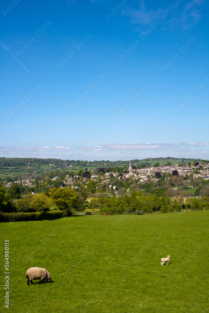 Fototapeta premium England, Gloucestershire, Painswick in the scenic Cotswold countryside in spring sunshine