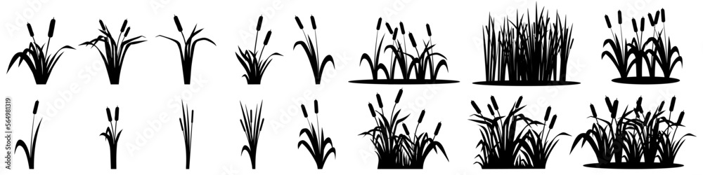 Cattail icon vector set. reeds illustration sign collection. swamp symbol. grass logo. - obrazy, fototapety, plakaty 