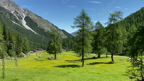 Beautiful cattle pasture with yellow flowers and same trees, located in the Schlick 2000 Ski resort in Fulpmes in Austria, Stubai Valley photo