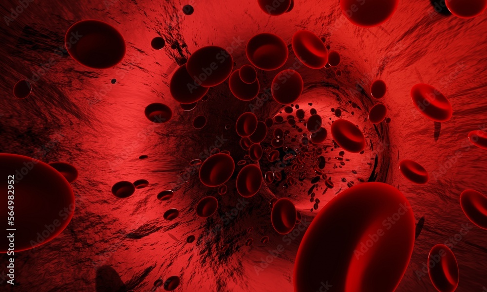 red-blood-cells-in-an-artery-or-blood-vessel-flow-inside-body