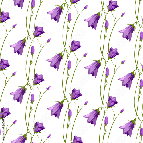Beautiful wild flowers. Meadow flowers, field flowers. Wild plants and flowers, drawing watercolor, field herbs, natural background, hand drawn illustration. Pattern