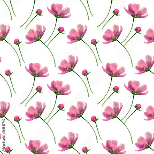 Seamless cosmos flowers pattern. Watercolor floral background with pink wildflowers, stem for textile, wallpapers