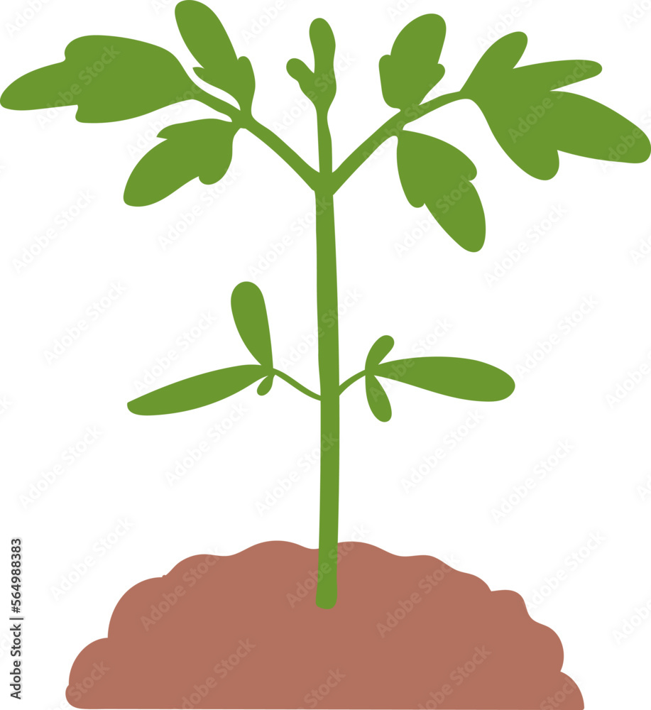 Obraz premium Plant in rich soil flat icon Plants planting