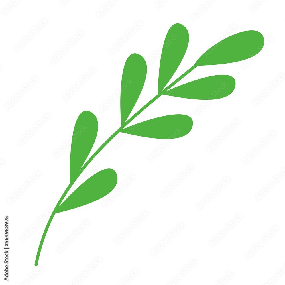 simple green leaves for design element simple green leaves for design element