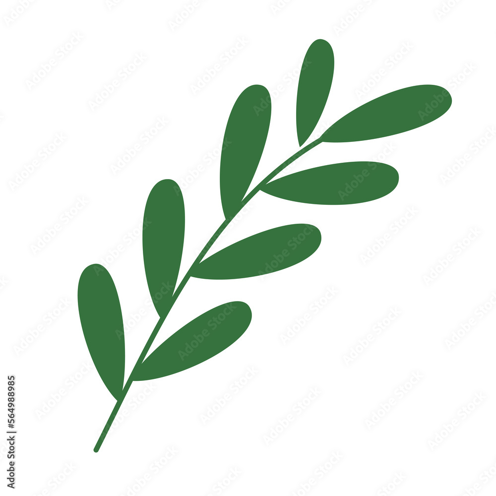 Fototapeta premium branch with leaves