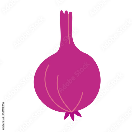 red onion illustration