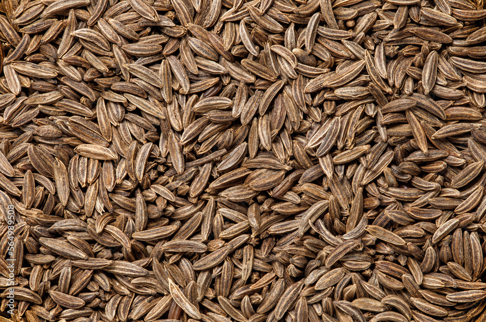 Cumin grains, background uniform texture, bunch in bulk close-up macro top view Cumin grains, background uniform texture, bunch in bulk close-up macro top view