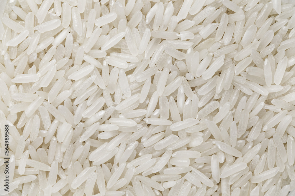 Rice white raw long-grain, background uniform texture, bunch in bulk close-up macro top view