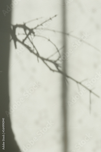 abstract background of цршеу wall with lights and shadows © pulia