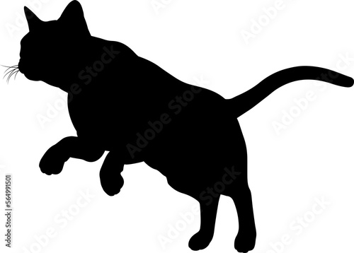 Silhouette Cat Pet Animal
