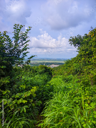 tropical forest and sky with clouds