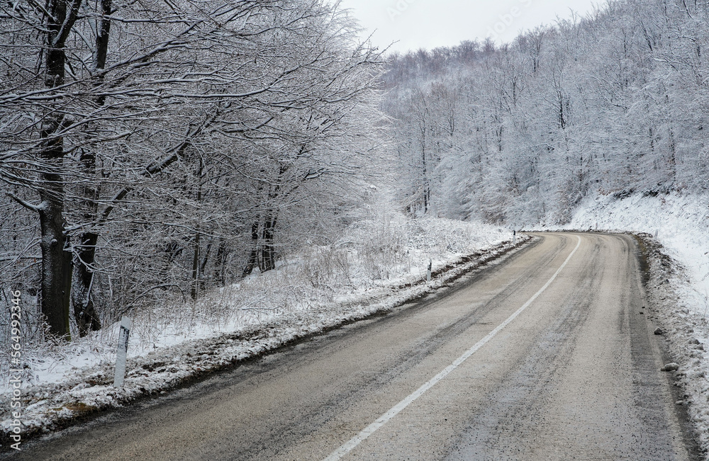 Fototapeta premium Mountain landscapes in winter with frozen trees and snow