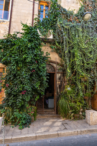 Decorated with a green climbing plant entrance to the building in the old city of Yafo, in Tel Aviv - Yafo city, Israel © svarshik